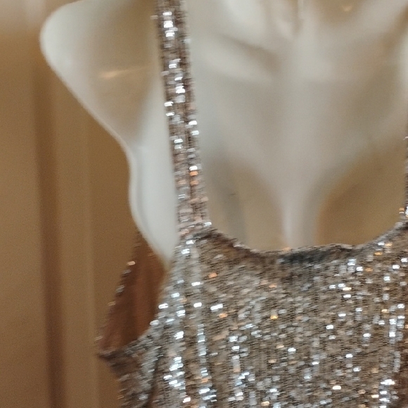 Daytrip Silver Sequin Tank Top - Picture 12 of 15